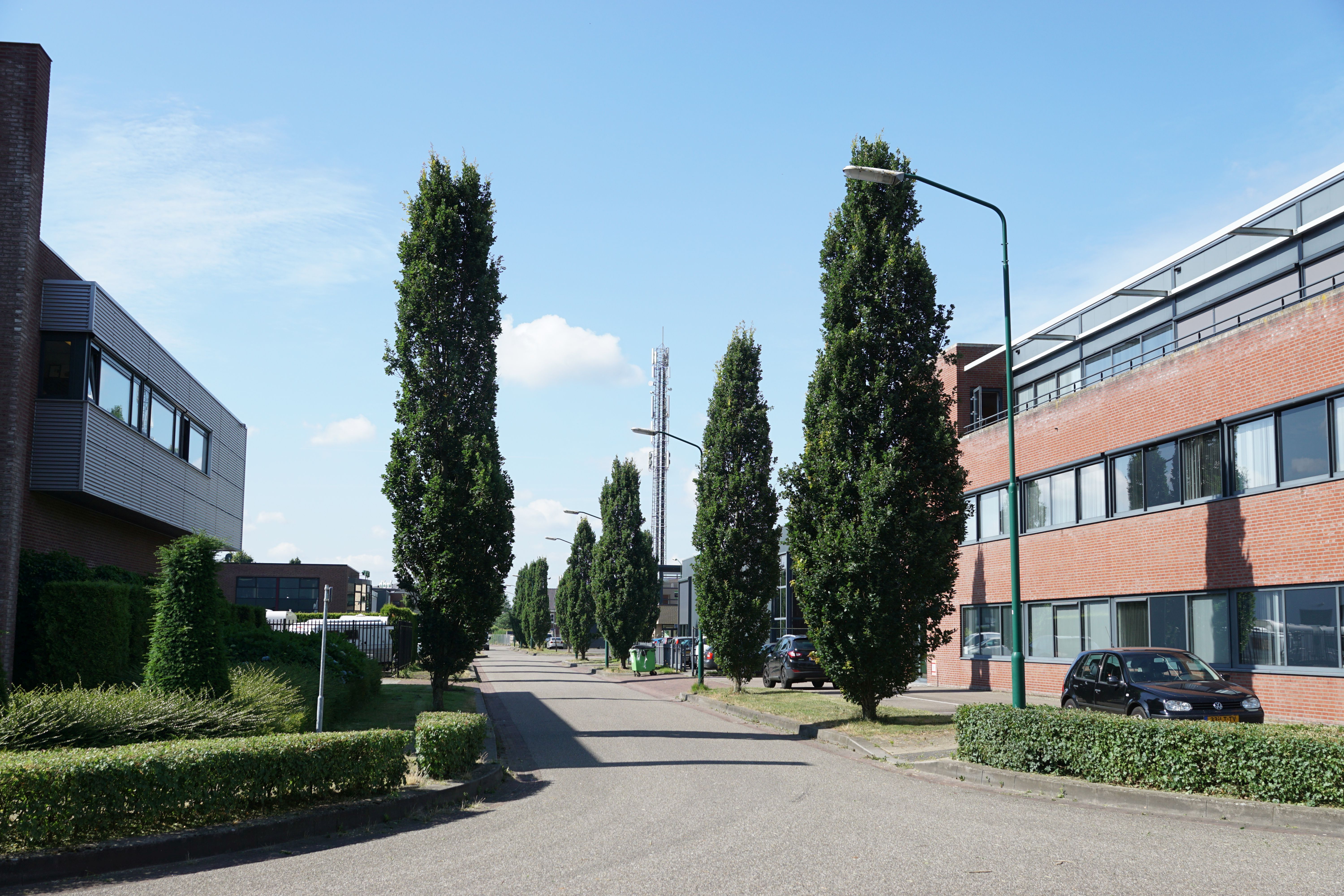 De Kampen