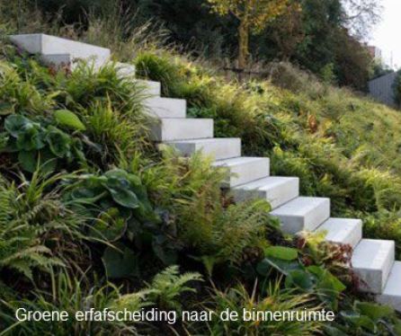 Groene erfafscheiding naar de binnenruimte