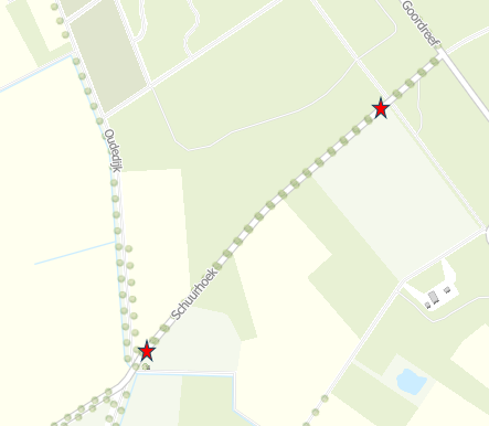Buizerd Schuurhoek