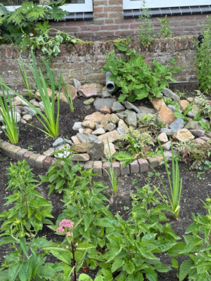 tuin-met-afgekoppelde-regenpijp